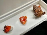 Wulfinite Mineral Specimens Red Cloud Mine La Paz AZ