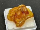 Piece of Copal Young Amber 2.9ct