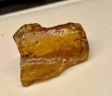 Copal Amber Specimen