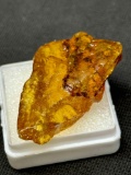 Piece of Copal Young Amber 3.9g