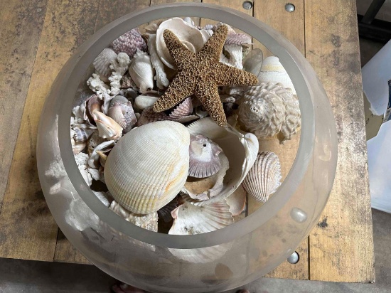 Bowl of Unique Sea Shells, Star Fish, Coral and more