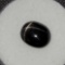 Oval Gray Star Sapphire 14.09ct.