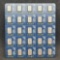 (25) 1 Gram PAMP .999 Fine Platinum Bars