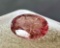 .62 Oval Cut Tourmaline Gemstone