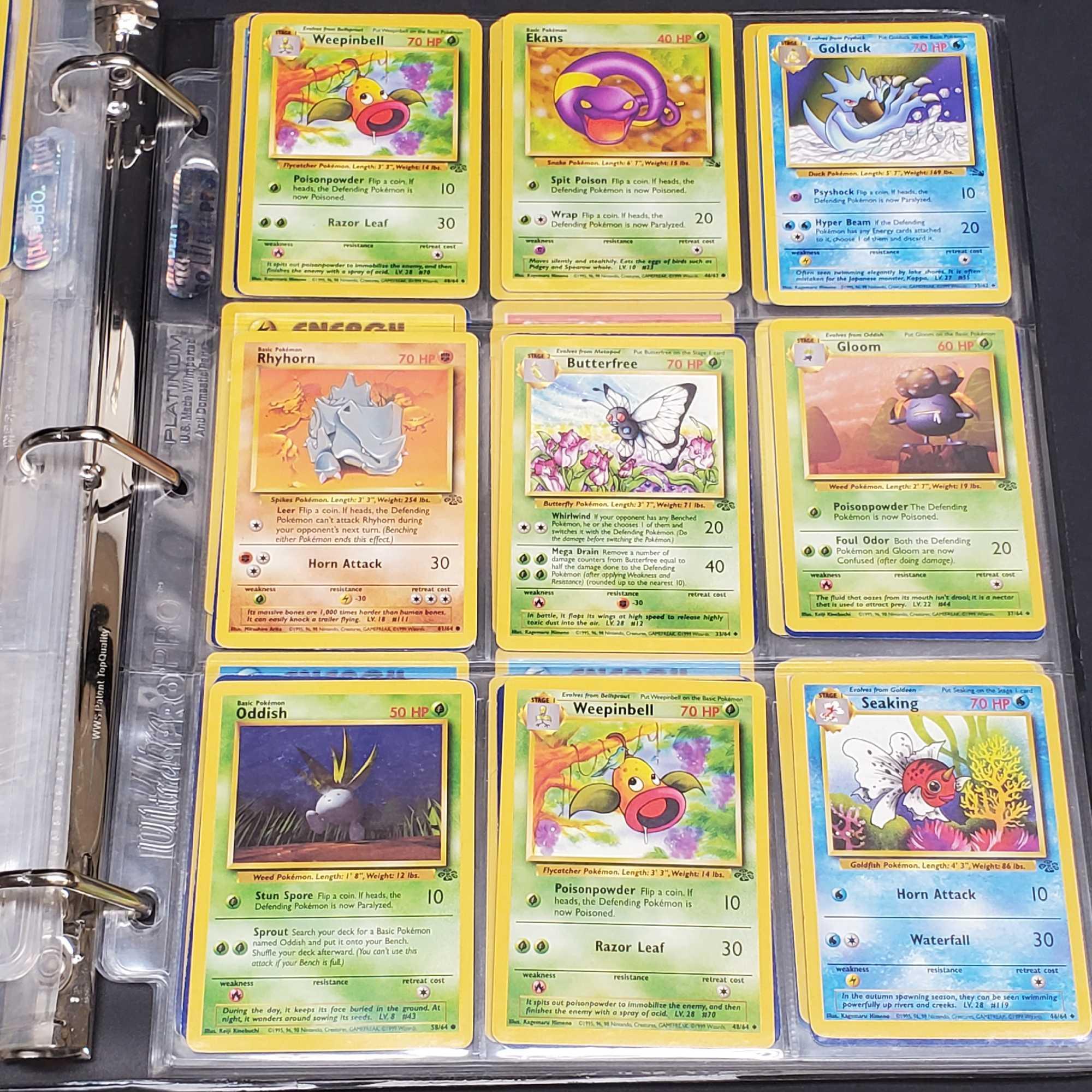 how rare are amazing rare pokemon cards My amazing rare collection! Full sets in English, Japanese, Korean, Chinese  and Thai. Some cards in French and German as well. : r/PokemonTCG