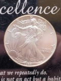 1 Troy Oz .999 Fine Silver 1993 Walking Liberty Silver Coin
