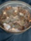 Tin Full Of Pennies 15lbs