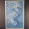 Framed LE 72/450 titled The Silver Ring signed John Ballou with COA