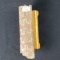 Section of Baculite fossil from South Dakota