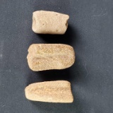 3 small pieces fossilized coral/stones