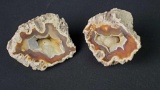 2 agatized coral geodes