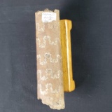 Section of Baculite fossil from South Dakota