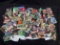 Exotic Animal Collector Trading Cards Zoo CRES