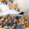 Bench top of power/handtools DeWalt Craftsman Black/Decker Central Pneumatic moreCraf