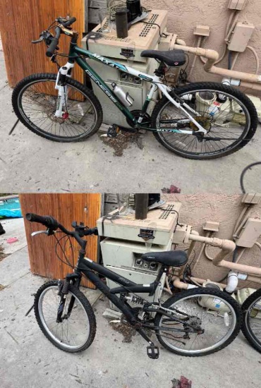 Pair of Bicycles Next PX4.1, Genesis 2900