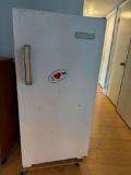 Signature 2000 Freezer Upright