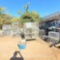 Approx. 30 birdcages various sizes bin of birds cage accessories perches water bowls toys etc.