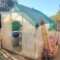 8ft x 6ft greenhouse with contents