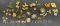 Pins And brochure Gold Tone Flowers Butterfly Cats Birds