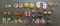 Earrings Clip on And Stud Flowers Leafs