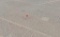 APN # 326-071-02-00-9 100,624 Sqf Flat Vacant land Kern County Zoned Residential Corner Lot