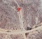 APN# 219-041-04-00-5 108,464 Sqf Vacant land
