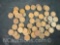 mix state Indian head pennies
