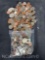 4 pounds of US coin Pennies dimes, quarters nickels half dollars dollar coins.