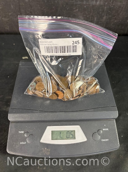1 pound copper pennies