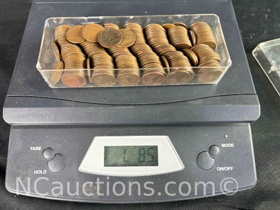 over one and a half pound of wheat pennies