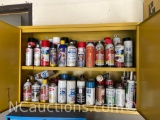 Tool cabinet with misc spray bottles