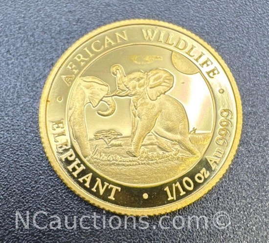 2024 1/10 Oz 9999 Fine Gold African Wildlife Bullion Coin