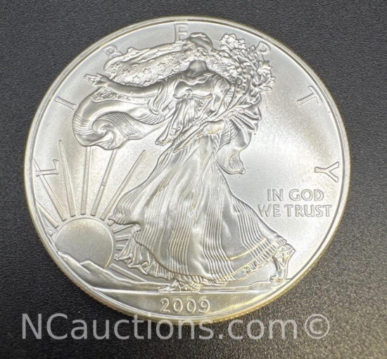 2009 1 Troy Oz .999 Fine Silver Walking Liberty Bullion Coin