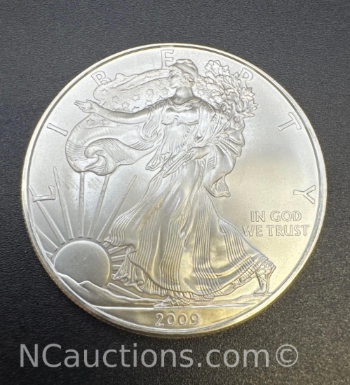 2009 1Troy Oz .999 Fine Silver Eagle Bullion Coin