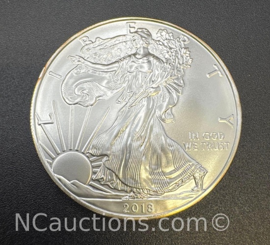 2018 1 Troy Oz .999 Fine Silver Eagle Bullion Coin