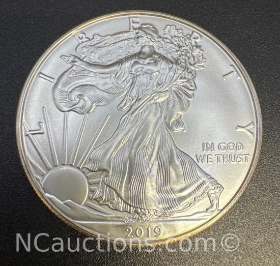 2019 1 Troy Oz .999 Fine Silver Eagle Bullion Coin
