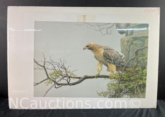 Unframed Red tailed Hawk by the cliff by Robert Bateman 1980 Limited Edition Prints 702 / 950