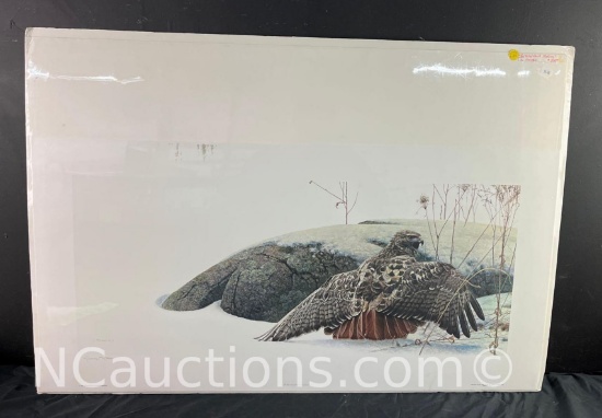 Red Tail Hawk Mantling by George McLean 10/77 limited edition print