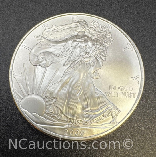 2009 1 Troy Oz .999 Fine Silver Eagle Bullion Coin