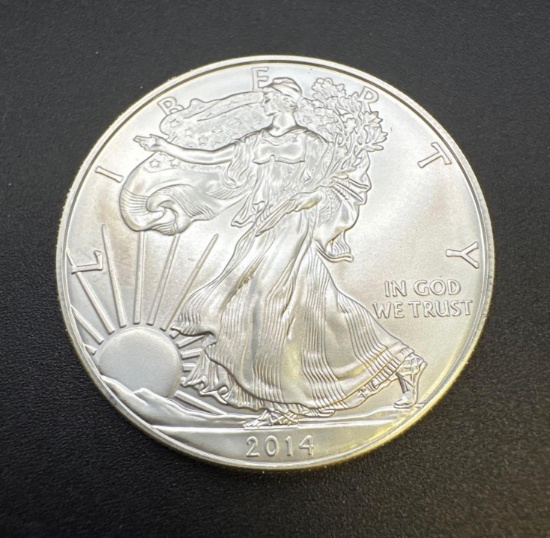 2014 1 Troy Oz .999 Fine Silver American Eagle Bullion Coin