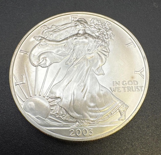 2003 1 Troy Oz .999 Fine Silver American Eagle Bullion Coin