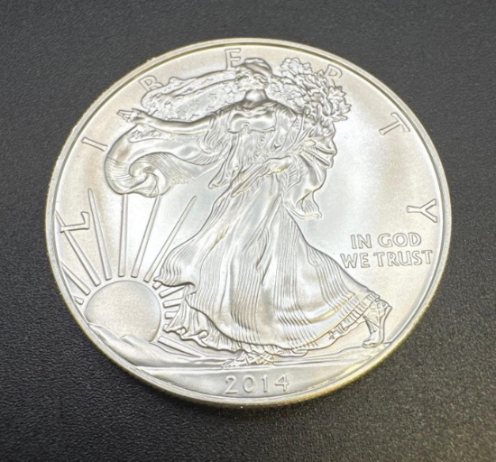 2014 1 Troy Oz .999 Fine silver American Eagle Bullion Coin