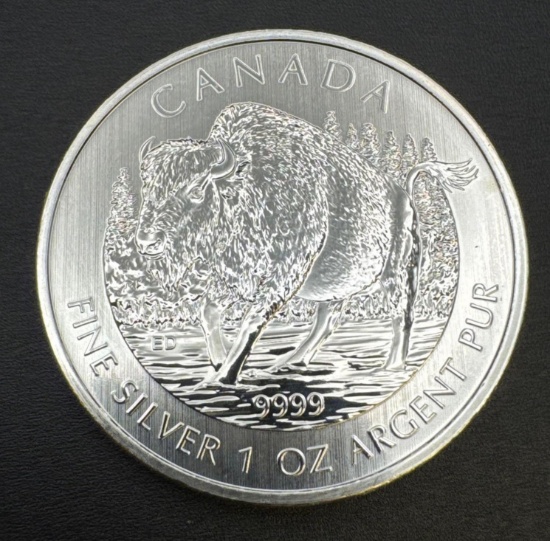 2013 Canadian Bison 1 Troy Oz .9999 Fine silver Bullion Coin