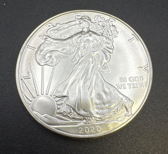 2020 1 Troy Oz .999 Fine Silver American Eagle Bullion Coin