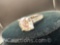 Sterling Silver Moissanite Diamond Ring