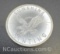 Sunshine Minting 1/2 Oz .999 Fine Silver Bullion Coin