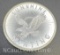 1/2 Oz .999 Fine Silver Sunshine Minting Bullion Coin