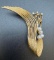 14kt Gold Diamond Pearl Brooch Pin 9.7 Grams