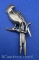 Sterling Silver Parrot Brooch Pin 7 Grams