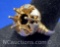 14k Gold Ring Needs Stone 4.2 Grams Size 6.5